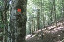 Du Markstein à Treh